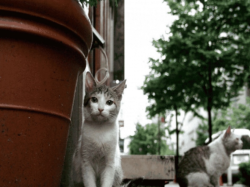 试管7天hcg多少试管宝宝容易患癌症做试管的黑话
